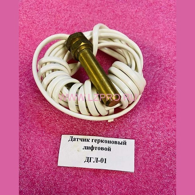 Датчик герконовый лифтовой ДГЛ-01