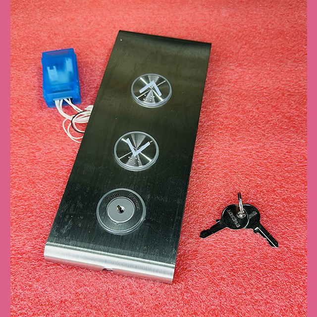 Пост вызывной двухкнопочный с ключом P262054A000G020345 Hyundai SJEC