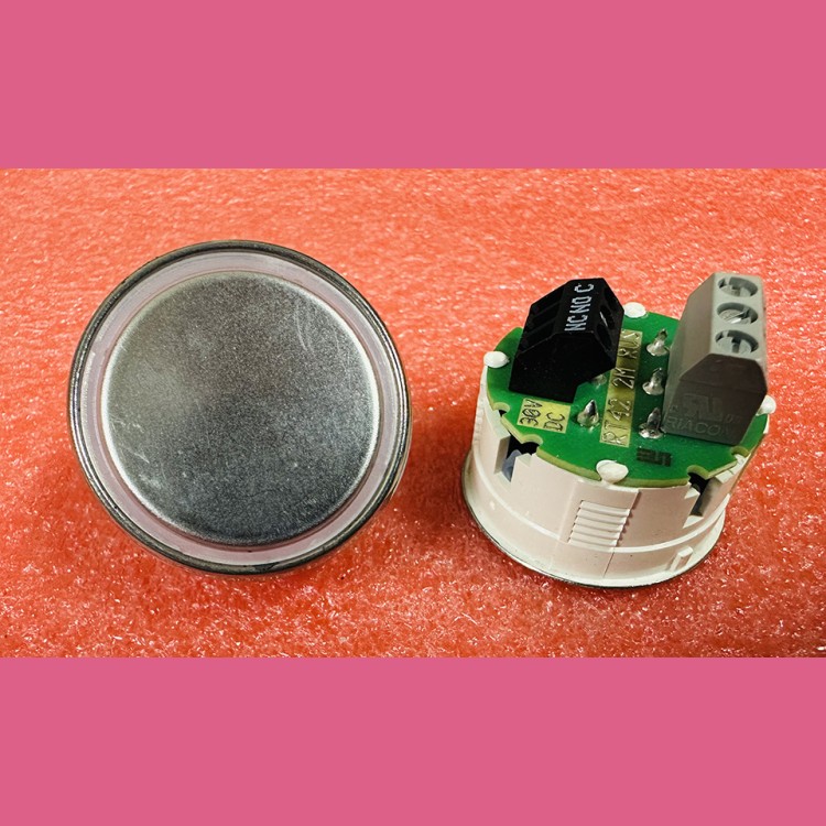 Кнопочный модуль без символов RT42 2М RUS Schaefer