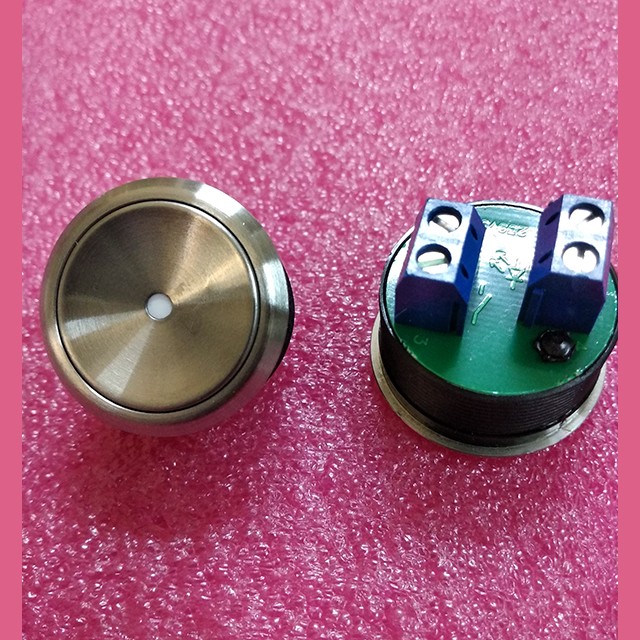 Кнопка КЛ-300-051 (MCS300; VR вандалоустойчивая, без подсветки "служебная")